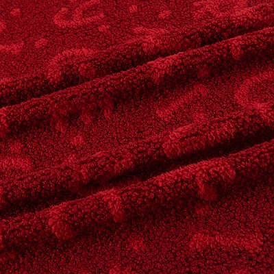 Anti-Pilling Teddy Sherpa Fabric