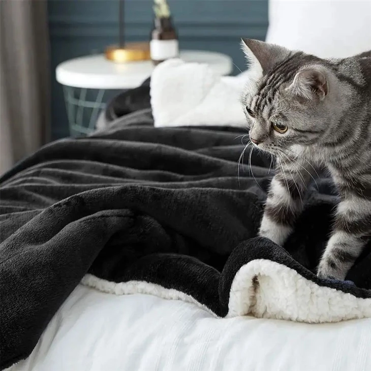 sherpa blanket for winter